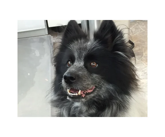 Kleintierpraxis Berg