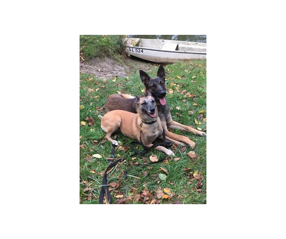 Kleintierpraxis Berg