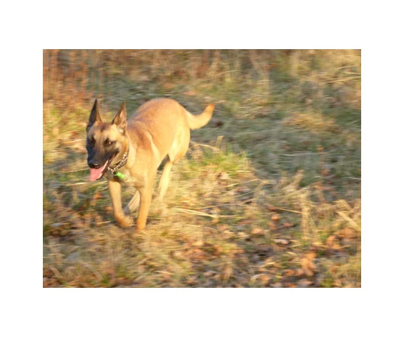 Kleintierpraxis Berg