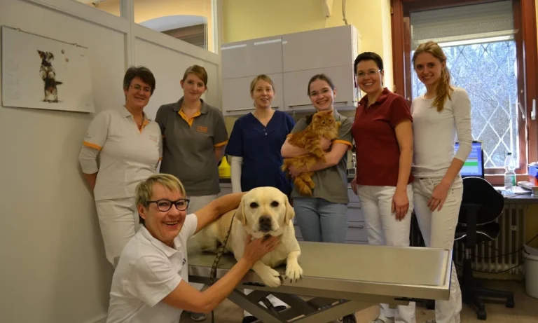 Kleintierpraxis Dr. A. Ranzinger