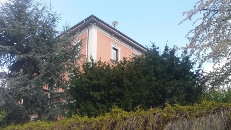 Kleintierpraxis Dr. A. Ranzinger