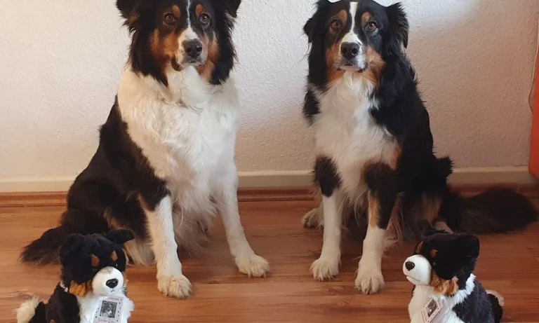 Kleintierpraxis Dr. Andrea Welz