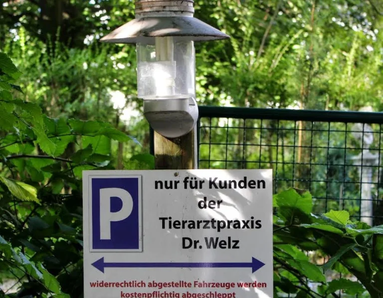 Kleintierpraxis Dr. Andrea Welz