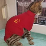 Kleintierpraxis Dr. Ernst