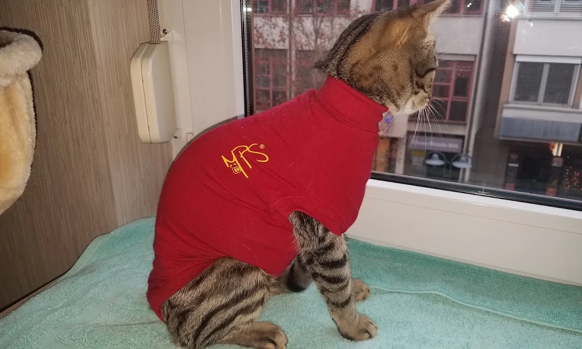 Tierarzt Kleintierpraxis Dr. Ernst Stuttgart
