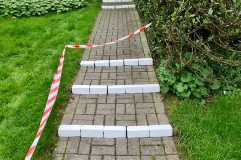 Kleintierpraxis Dr. Franziska Eschricht