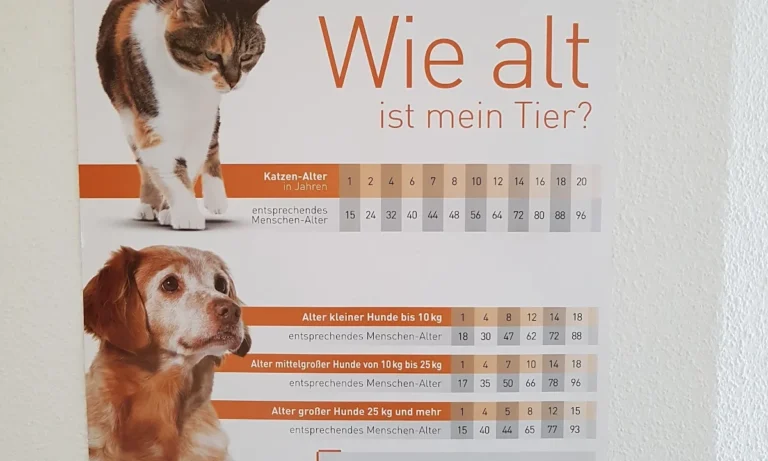 Kleintierpraxis Dr. Franziska Eschricht