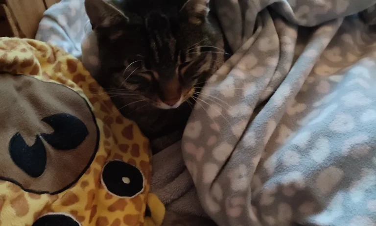 Kleintierpraxis Dr. Franziska Eschricht