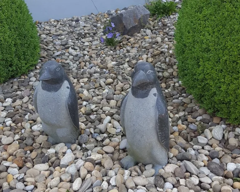 Kleintierpraxis Dr. Karin Schröder