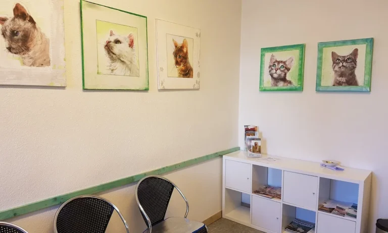 Kleintierpraxis Dr. med. vet. Monika Jösten