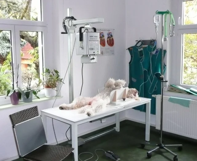 Kleintierpraxis Dr. Niekler