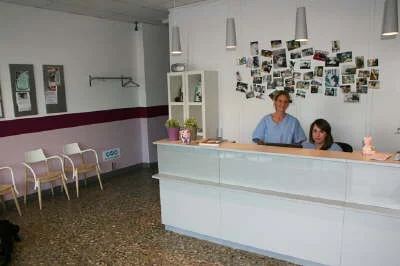 Tierarzt Kleintierpraxis Dr. Sylvia Belgard & Dr. Karin Dorweiler München