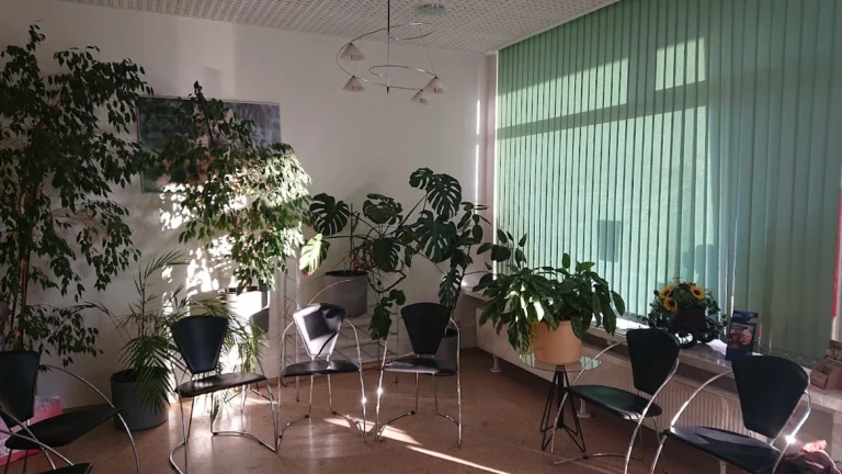 Kleintierpraxis DVM Holger Metting