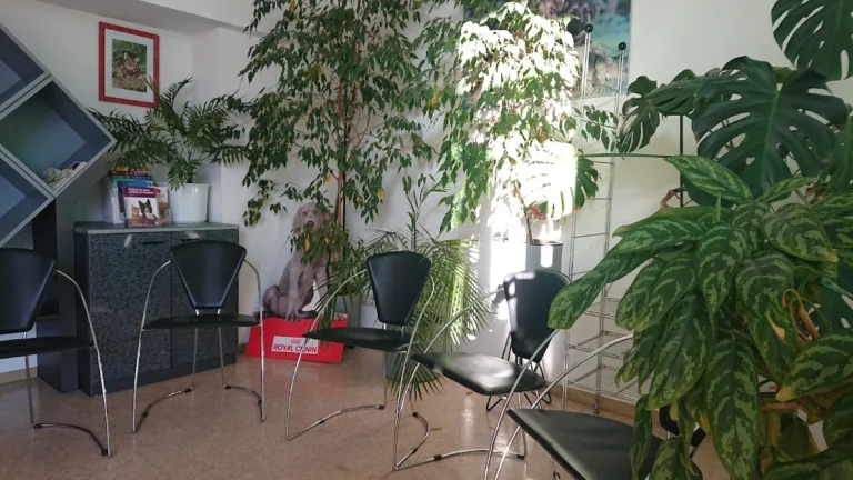 Kleintierpraxis DVM Holger Metting