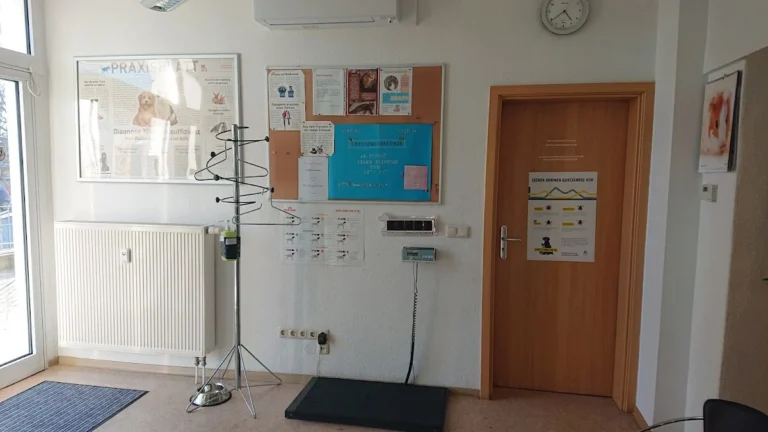 Kleintierpraxis DVM Holger Metting