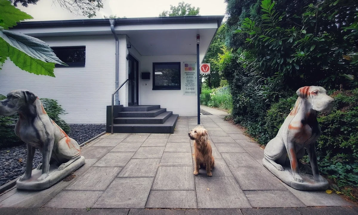 Tierarzt Kleintierpraxis Elbvororte Britta Biermann Hamburg