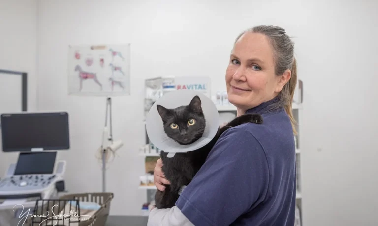 Kleintierpraxis Großbuchholz