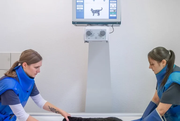 Kleintierpraxis Großbuchholz