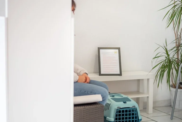 Kleintierpraxis Großbuchholz