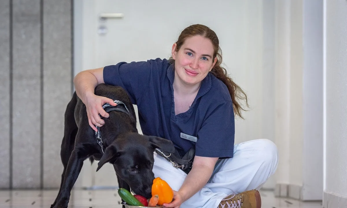 Tierarzt Kleintierpraxis Großbuchholz Hannover