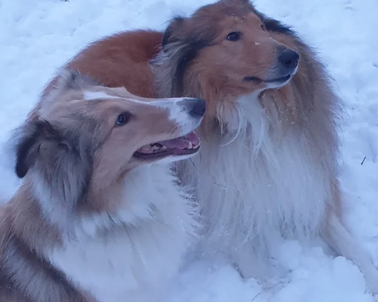 Kleintierpraxis Hanna Dadun-Degorski