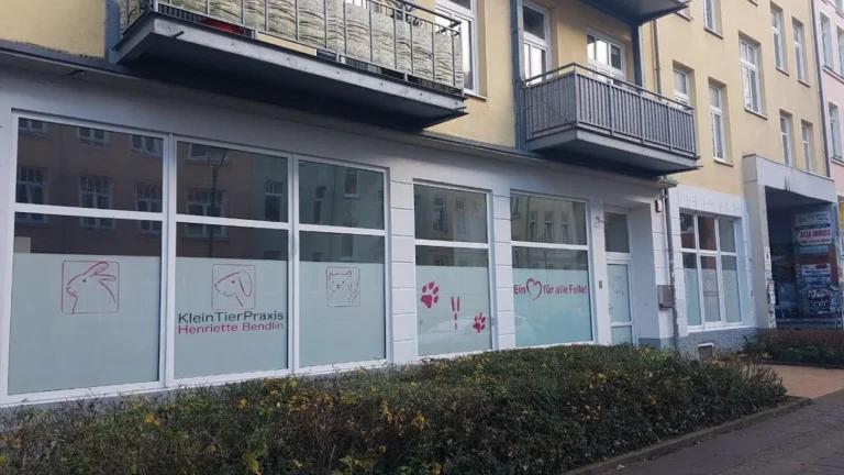 Kleintierpraxis Henriette Bendlin