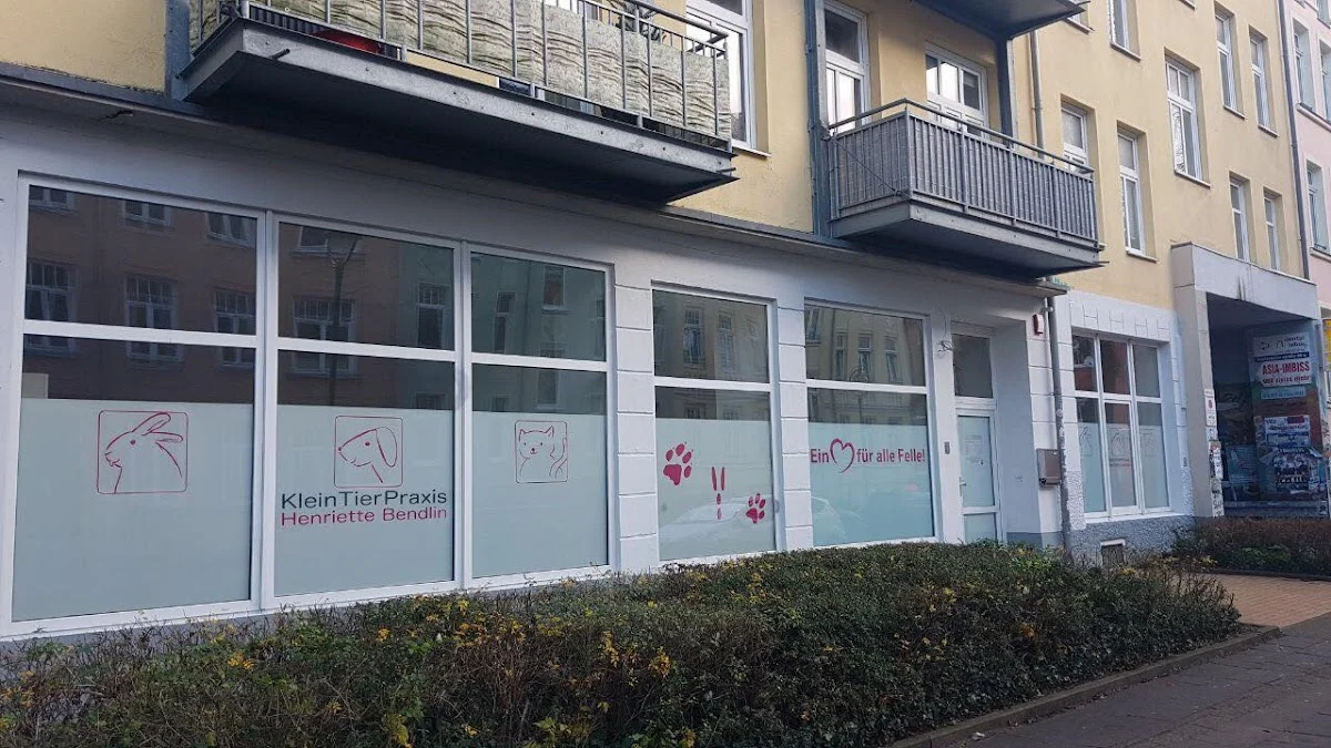 Tierarzt Kleintierpraxis Henriette Bendlin Rostock