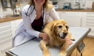 Kleintierpraxis Karlsruhe Dr. Magdalena Behrendt-Wippermann