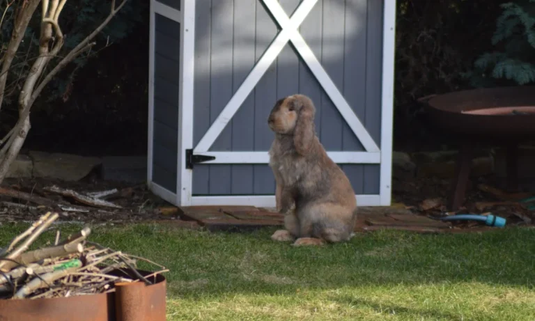 Kleintierpraxis Katja Thomas