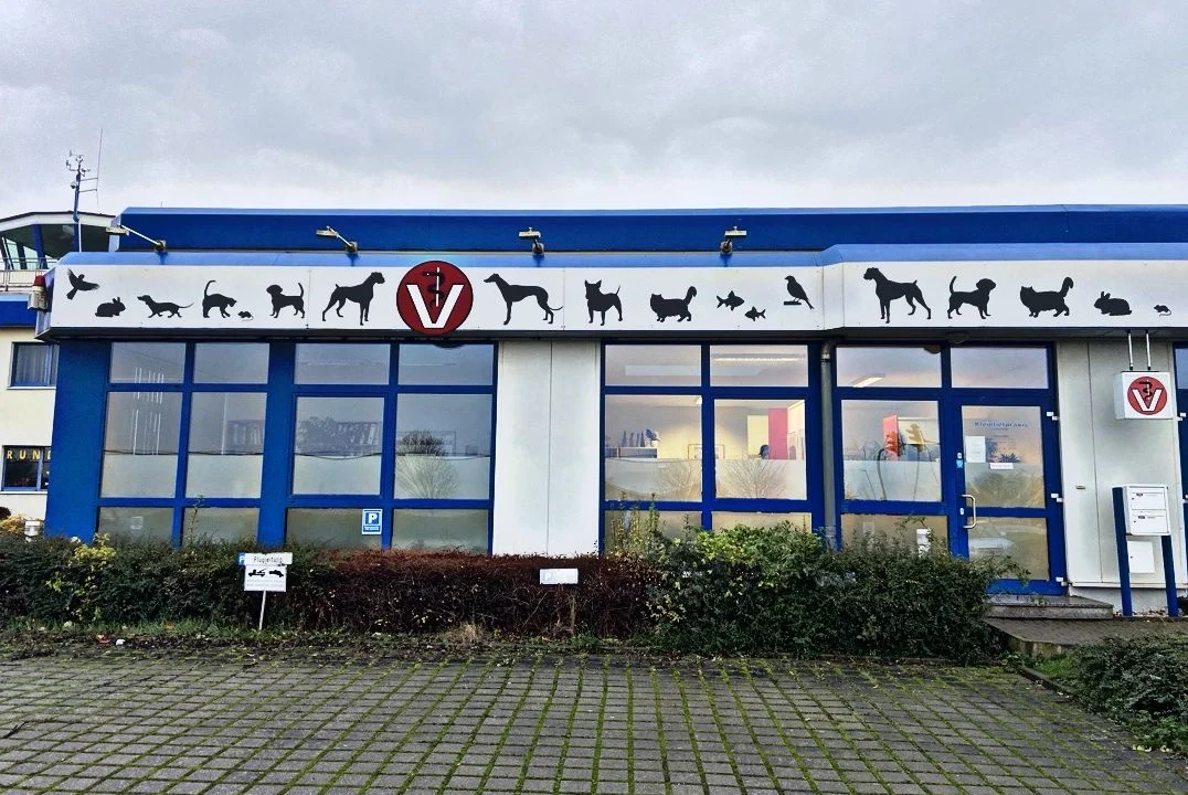 Tierarzt Kleintierpraxis Lohse/Feige Gera