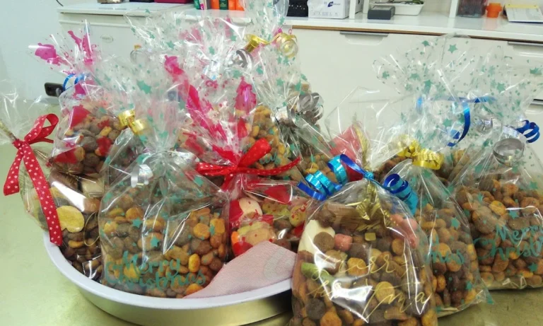 Kleintierpraxis M. Munir Akefee