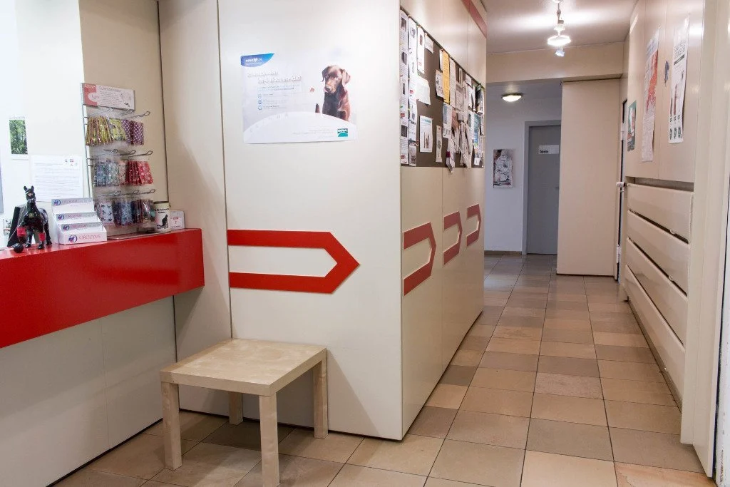 Tierarzt Kleintierpraxis Marion Wilde Aachen