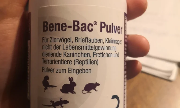 Kleintierpraxis Marion Wilde