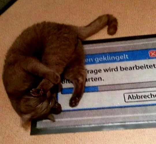 Kleintierpraxis Marion Wilde