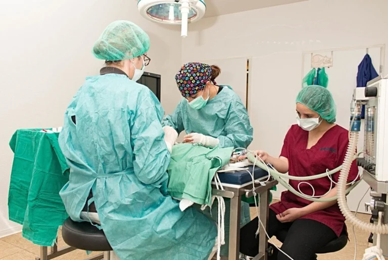 Kleintierpraxis Marion Wilde