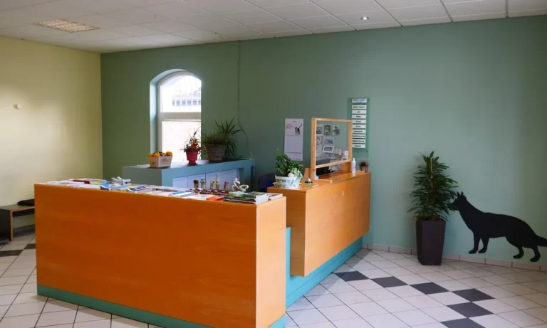 Kleintierpraxis Meerbeck