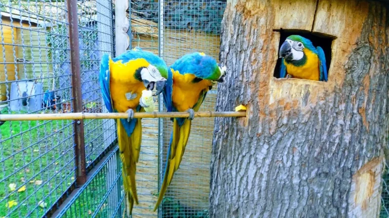 Kleintierpraxis Meerbeck