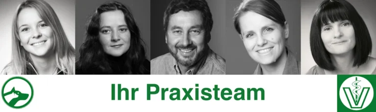 Kleintierpraxis Memmingen | Dr. Götz Queisser