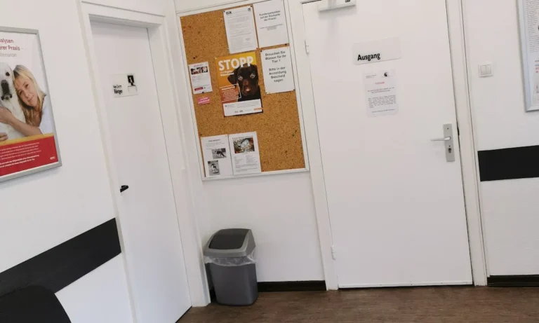 Kleintierpraxis Neugraben