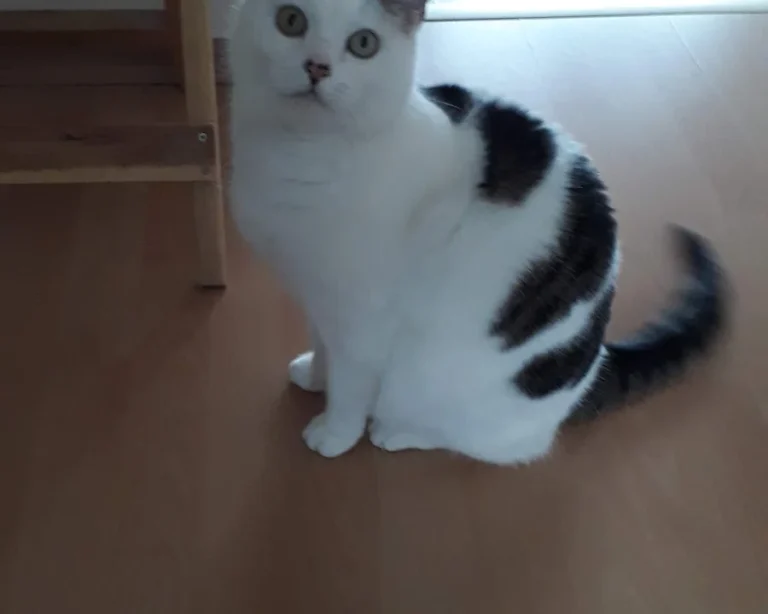 Kleintierpraxis Neugraben