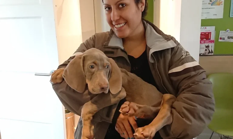 Kleintierpraxis Niendorf