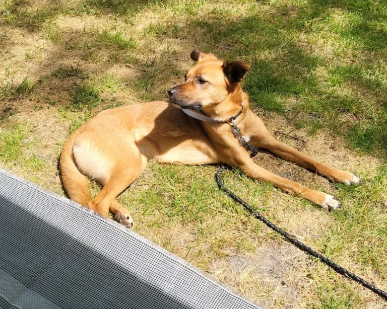 Kleintierpraxis Nina Berg