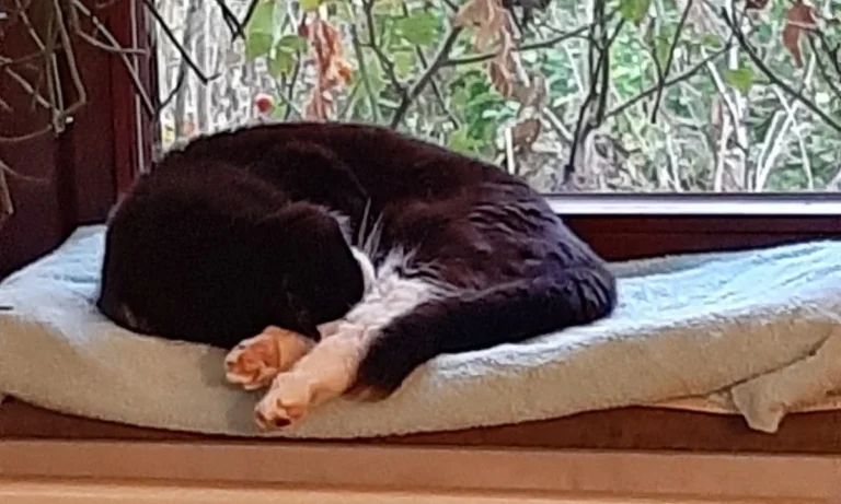 Kleintierpraxis Nina Berg