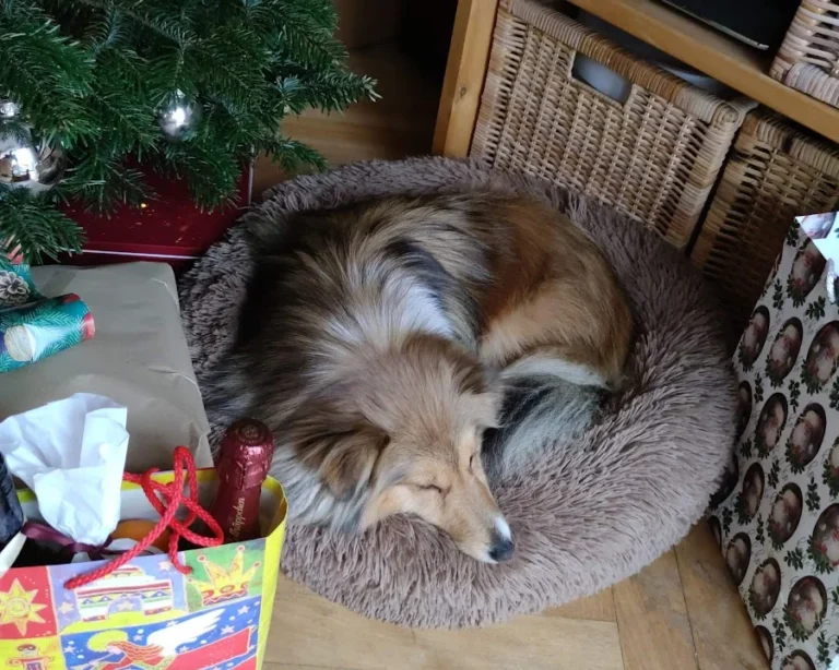 Kleintierpraxis Nina Berg