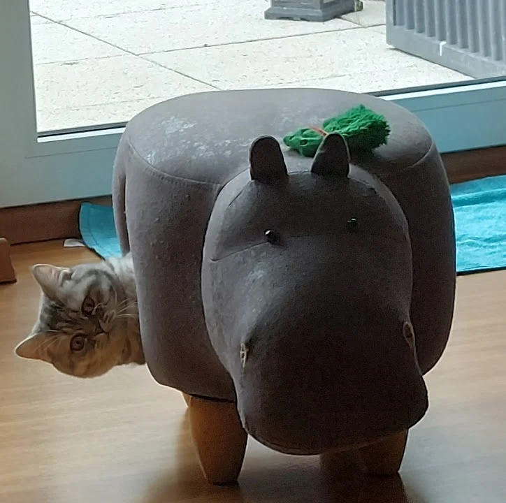 Kleintierpraxis Nina Berg