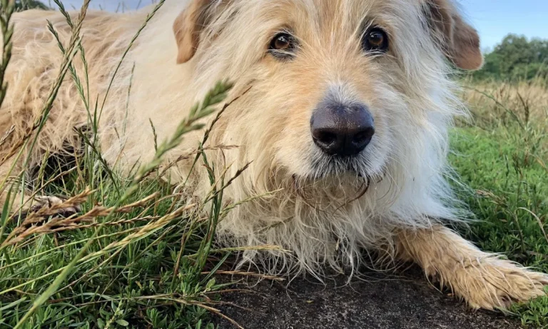 Kleintierpraxis Nordstadt - Eva Kirsch