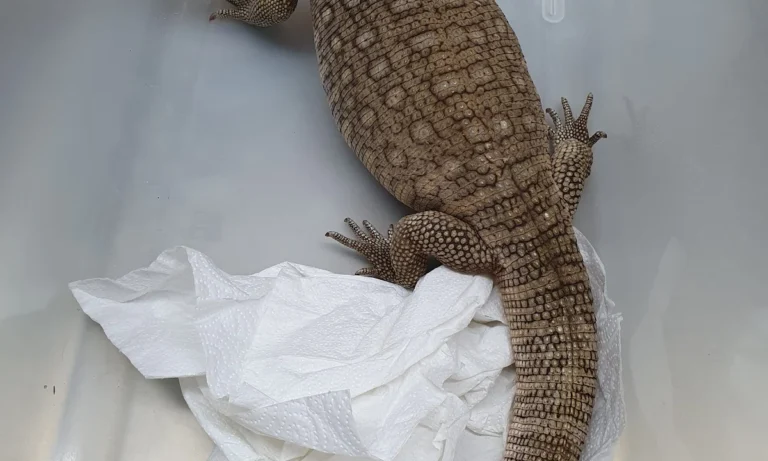 Kleintierpraxis Opiela