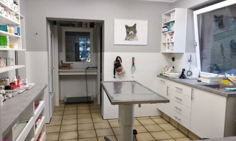 Kleintierpraxis Rebecca Badekow