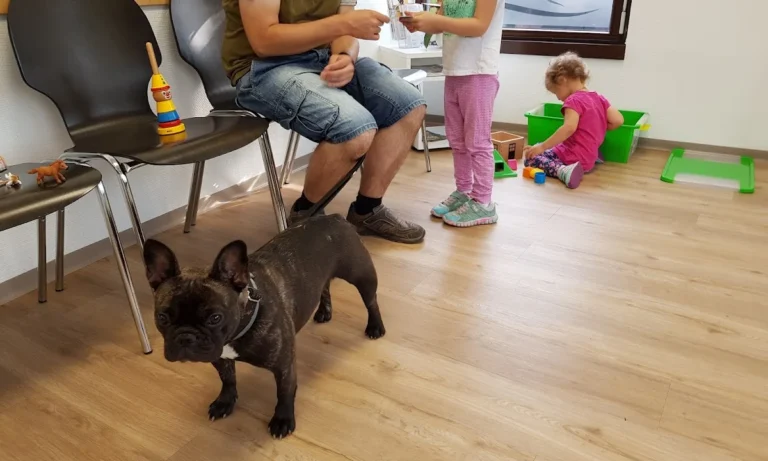 Kleintierpraxis Regensburg