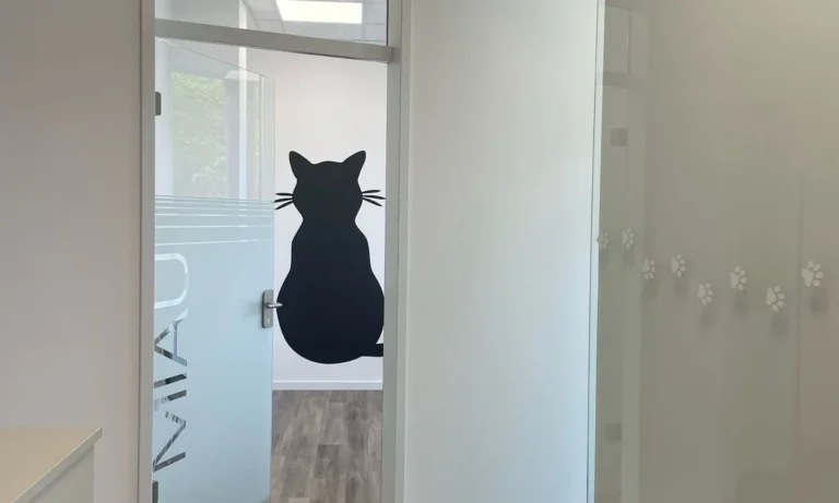 Kleintierpraxis Regensburg